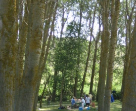 Meseta oasis in san bol and picnic